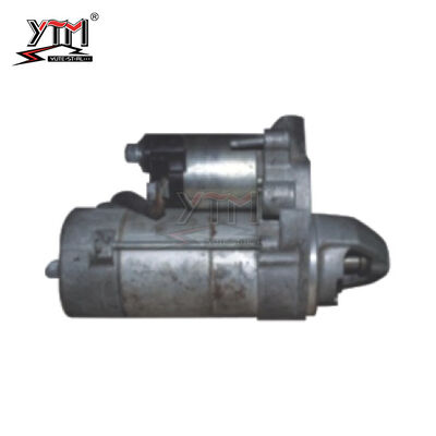 4280003970 4280003980 Elektrische Startmotor 2810038020 2810038021 2810038030