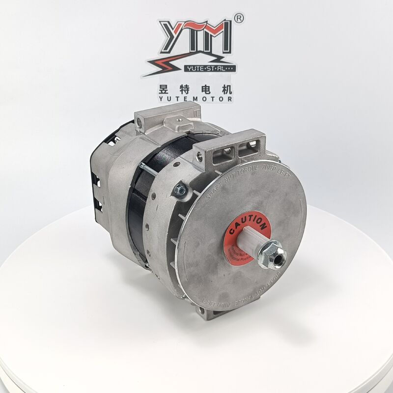 YTM 24V 250A DR290 Alternator OE 3643862 61006082 8600453 voor 7321N Heavy-duty vervanging